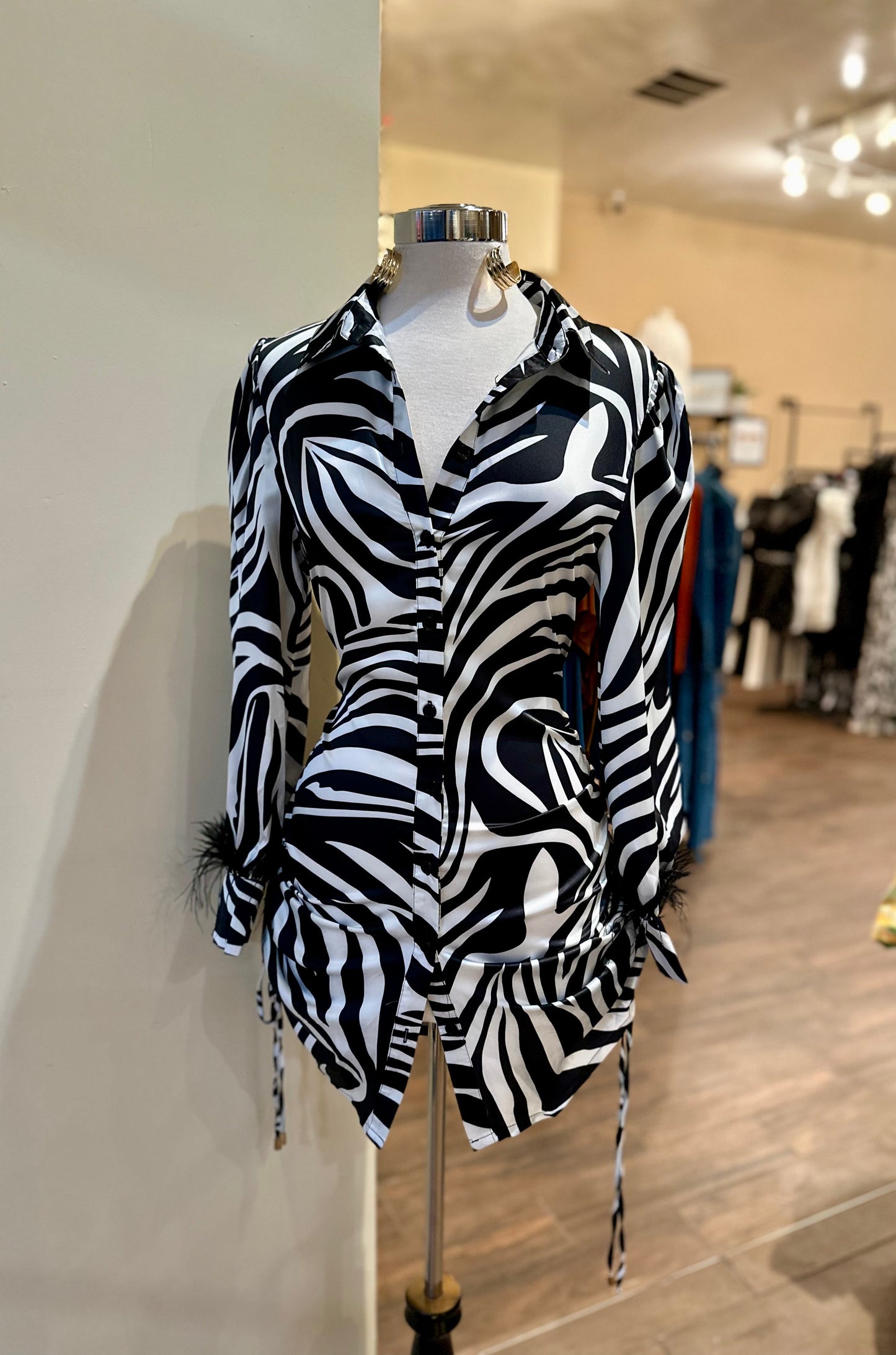 Zebra Print Dress