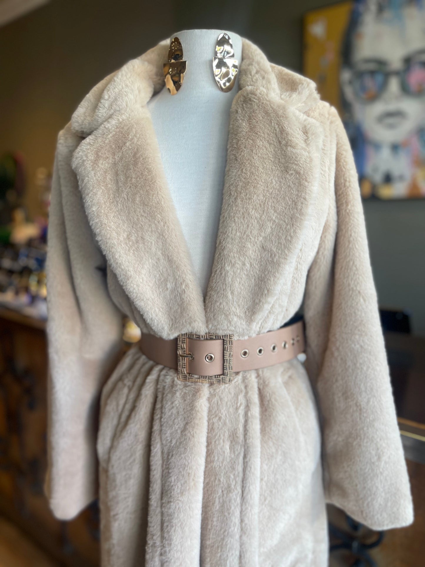 Long Sleeve Faux Fur Coat